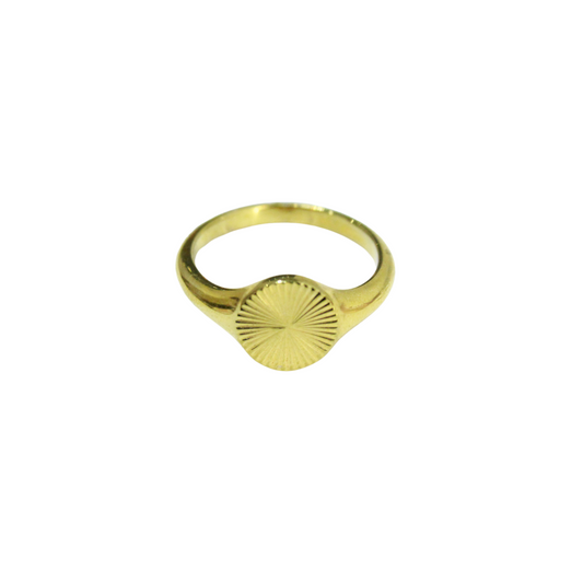 Anillo Acero