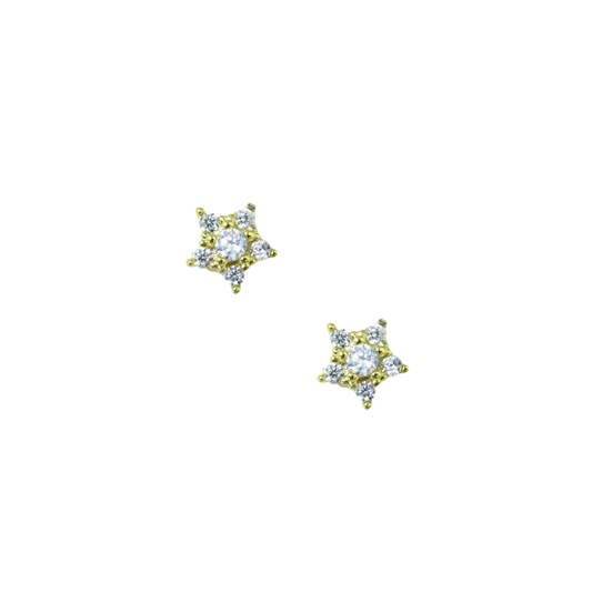 Aretes Estrella