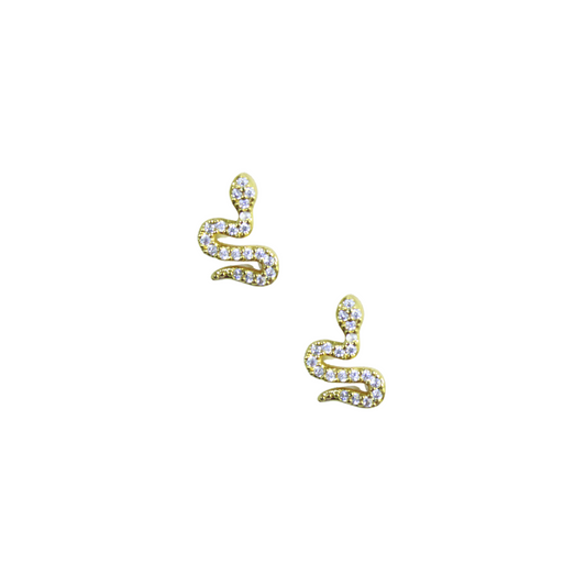 Aretes serpiente