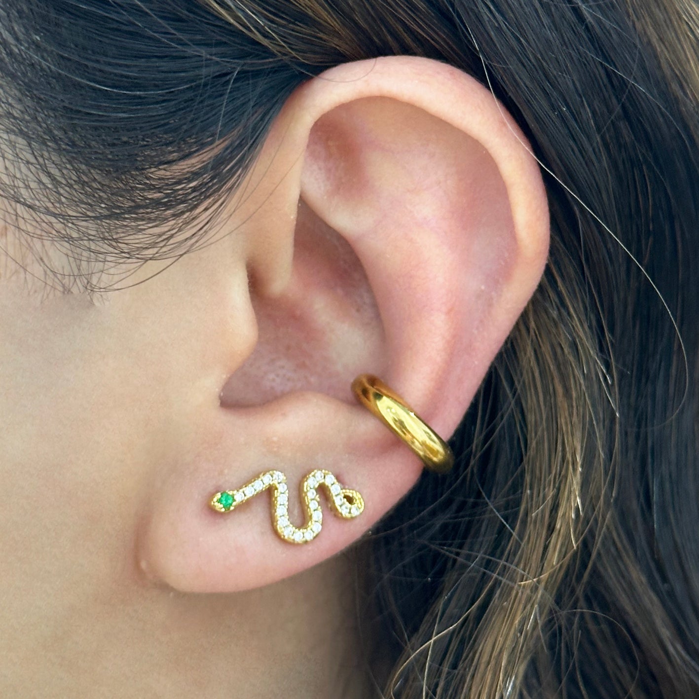 Aretes Serpiente