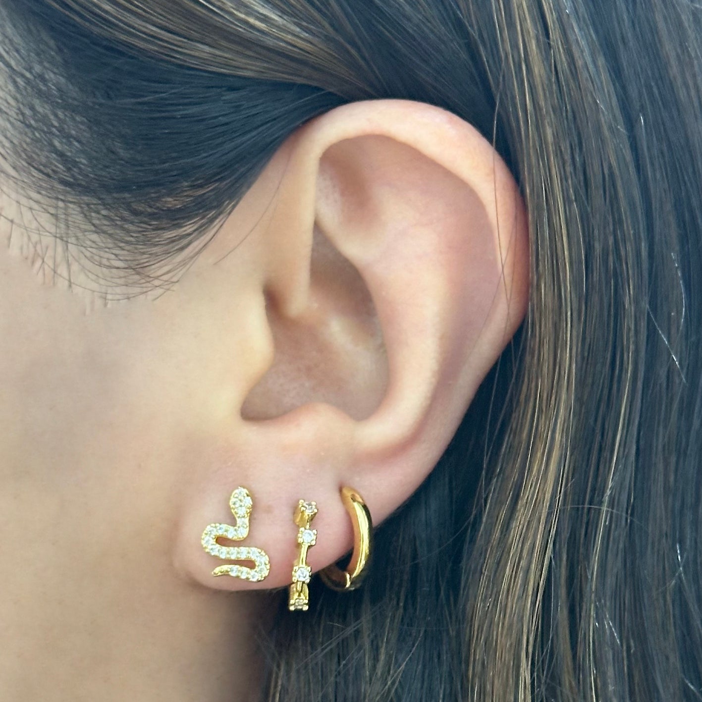 Aretes serpiente